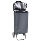 Καρότσι λαϊκής υφασμάτινο γκρι 32Lt 95εκ Ankor 848072