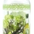 Λαδικό γυάλινο διάφανο 500ml Ankor 853366