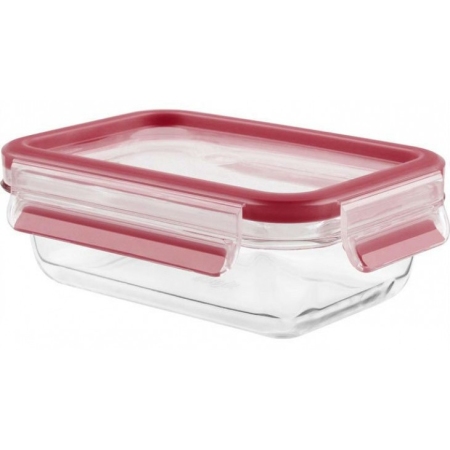 Φαγητοδοχείο γυάλινο Masterseal 1.3Lt Tefal N10410