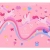 Φαγητοδοχείο παιδικό πλαστικό Rainbow dreams 900ml Estia 01-34351