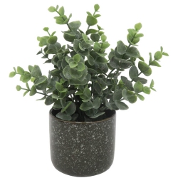 Φυτό διακοσμητικό σε γλαστράκι Ευκάλυπτος καφέ 17.8x23εκ Ankor 832262