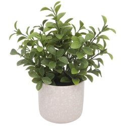 Φυτό διακοσμητικό σε γλαστράκι Καμέλια μπεζ 16.5x20.3εκ Ankor 832286