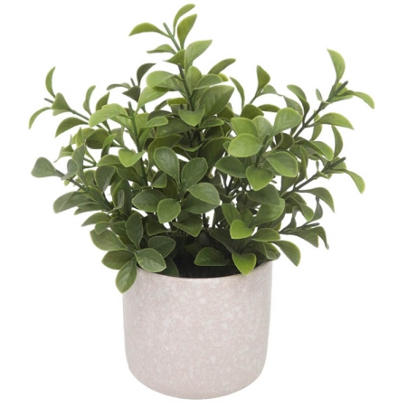 Φυτό διακοσμητικό σε γλαστράκι Καμέλια μπεζ 16.5x20.3εκ Ankor 832286