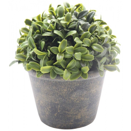 Φυτό διακοσμητικό σε γλαστράκι αντικέ μπεζ-γκρι 15.3x16εκ Ankor 832385