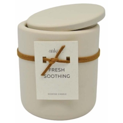 Κερί σε βάζο αρωματικό Fresh soothing 9x11εκ Ankor 833085
