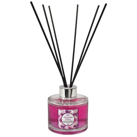 Αρωματικό χώρου με sticks Morning Glory 100ml Sidirela E-4084