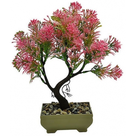 Φυτό διακοσμητικό σε γλαστράκι Bonsai ροζ 20x14x25εκ Sidirela E-4317