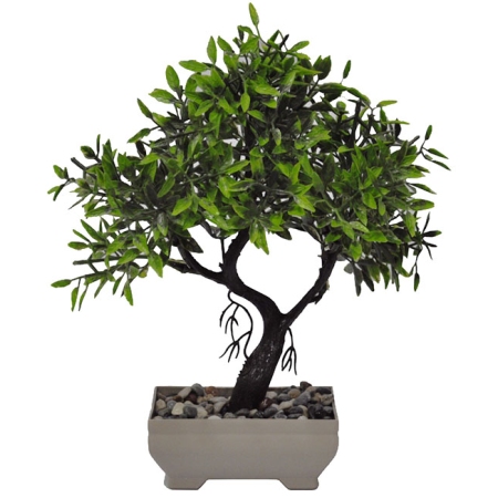 Φυτό διακοσμητικό σε γλαστράκι Bonsai πράσινο 20x14x27εκ Sidirela E-4524