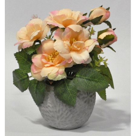 Φυτό διακοσμητικό σε γλαστράκι σομόν 15x11x17εκ Sidirela E-4663