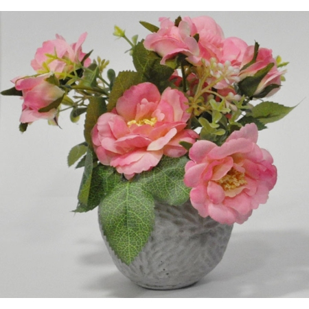 Φυτό διακοσμητικό σε γλαστράκι ροζ 15x11x17εκ Sidirela E-4663