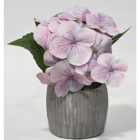 Φυτό διακοσμητικό σε γλαστράκι λιλά 20x15x19εκ Sidirela E-4664