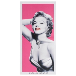 Πίνακας σε καμβά Marilyn 30x60εκ Inart 3-90-121-0003