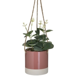 Φυτό διακοσμητικό σε γλαστράκι ροζ 35εκ Click 6-85-508-0004