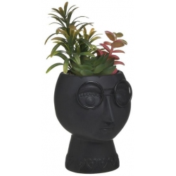 Φυτό διακοσμητικό σε γλαστράκι μαύρο 19εκ Inart 3-70-301-0162