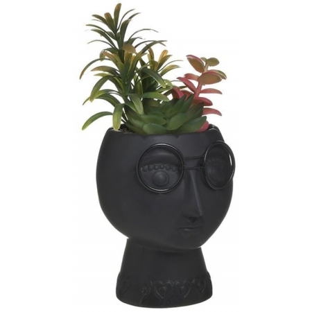 Φυτό διακοσμητικό σε γλαστράκι μαύρο 19εκ Inart 3-70-301-0162