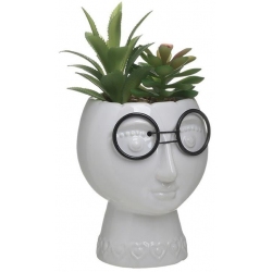 Φυτό διακοσμητικό σε γλαστράκι λευκό 19εκ Inart 3-70-301-0163