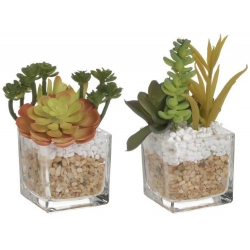 Φυτό διακοσμητικό σε γλαστράκι 11εκ Inart 3-85-475-0272