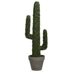 Φυτό διακοσμητικό σε γλάστρα Κάκτος πράσινο 18x12x51εκ Inart 3-85-311-0013