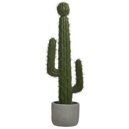 Φυτό διακοσμητικό σε γλάστρα Κάκτος πράσινο 13x41εκ Inart 3-85-311-0010