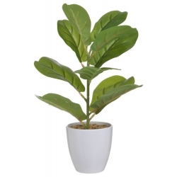 Φυτό διακοσμητικό σε γλαστράκι πράσινο-λευκό 18x32εκ Inart 3-85-475-0268