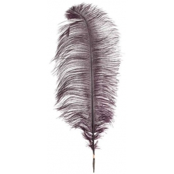 Κλαδί διακοσμητικό Φτερό μωβ 67εκ Inart 3-70-355-0021
