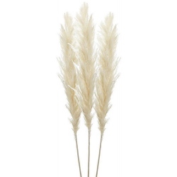 Κλαδιά διακοσμητικά σετ 3 τεμαχίων Pampas εκρού 150εκ Inart 3-85-909-0018