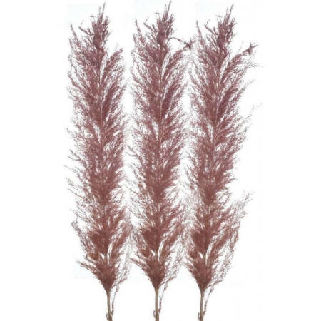 Κλαδιά διακοσμητικά σετ 3 τεμαχίων Pampas κεραμιδί 150εκ Inart 3-85-909-0022