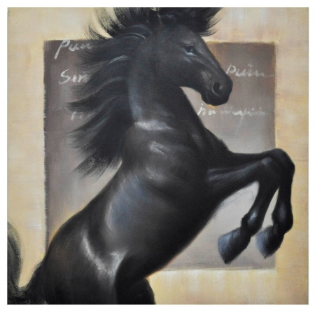 Πίνακας σε καμβά   Άλογο   μαύρο/εκρού 100x100εκ 75999