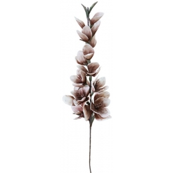 Κλαδί διακοσμητικό Γλαδιόλα καφέ 125εκ Marhome 6073-4
