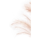 Κλαδί διακοσμητικό Πούπουλα σομόν 113εκ Marhome 6109-30