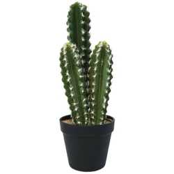 Φυτό διακοσμητικό σε γλάστρα Κάκτος πράσινο 38εκ Marhome 16067