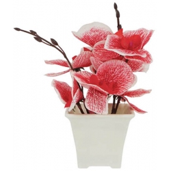 Φυτό διακοσμητικό σε γλάστρα κόκκινο 11x19εκ Marhome 21706-2