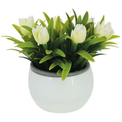 Φυτό διακοσμητικό σε γλάστρα Τουλίπες εκρού 14x13εκ Marhome 19318-1