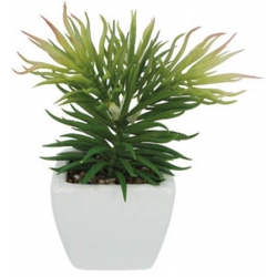 Φυτό διακοσμητικό σε γλαστράκι πράσινο-λευκό 10x17εκ Marhome 19325D