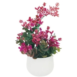 Φυτό διακοσμητικό σε γλαστράκι Ευκάλυπτος φούξια 15x21εκ Marhome 21710-3