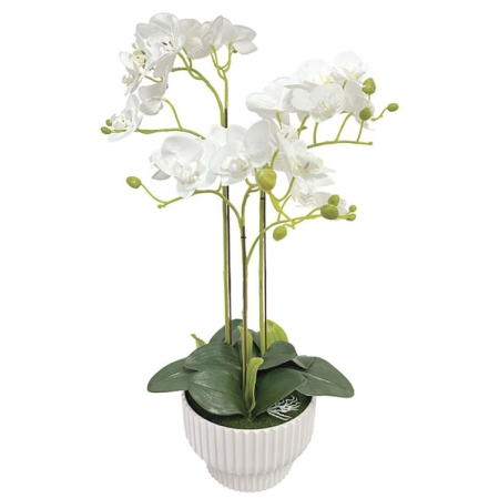 Φυτό διακοσμητικό σε γλάστρα Ορχιδέα λευκή 50εκ Marhome 04-94379-1