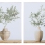 Πίνακες σε καμβά printed σετ 2 τεμαχίων Βάζο λευκό-natural 30x40εκ Estheti 812-20115