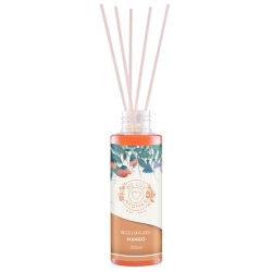 Αρωματικό χώρου με sticks Mango 100ml We luv aromas 806-0014