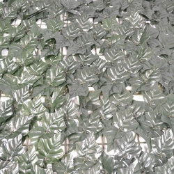 Κισσός αναρριχώμενος 3x1.5 μέτρα Sidirela E-3465