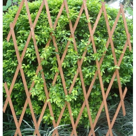 Πτυσσόμενη πέργκολα 90x180εκ. ξύλινη WTRELLIS-90